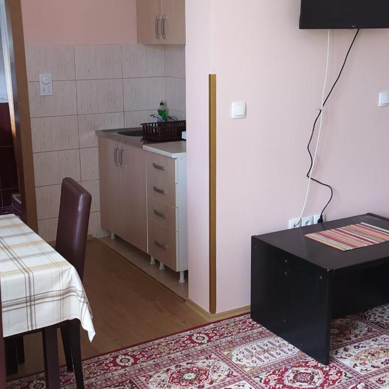 Apartmani Aleksijević - Porodični Studio - 8