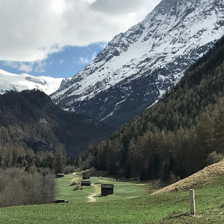 Chalet 12 Cerfs - Chalet - 37