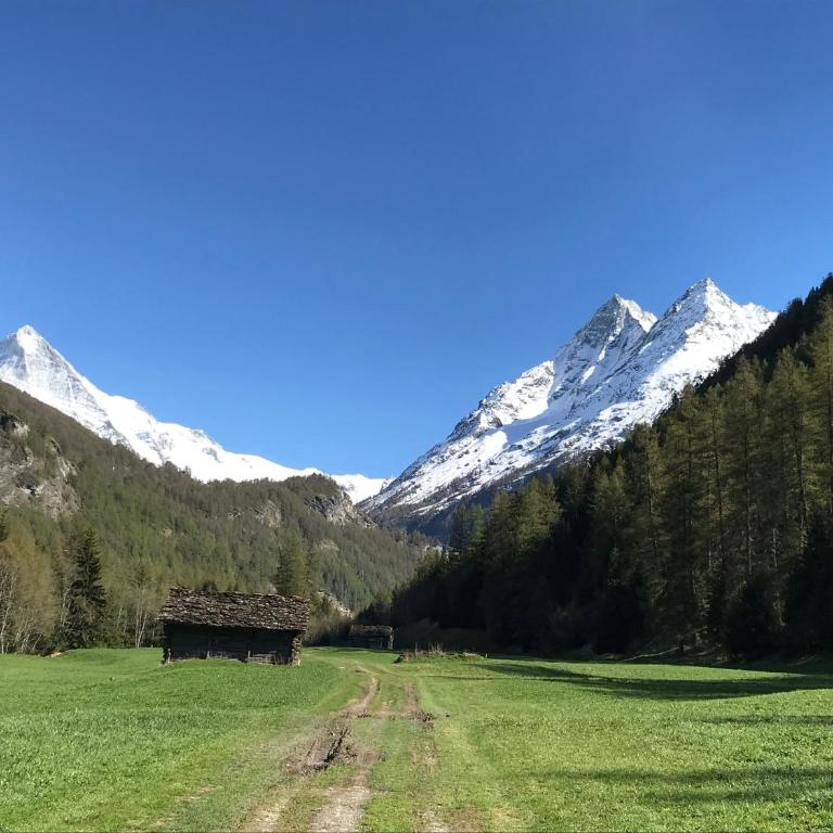 Chalet 12 Cerfs - Chalet - 26