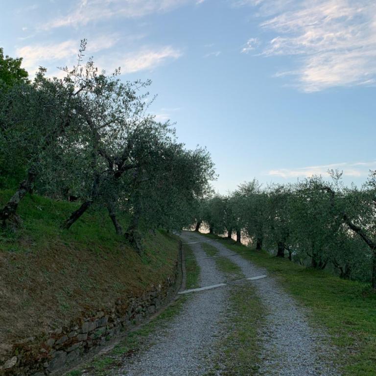 Casa Sisto - Casa - 17