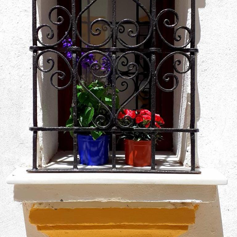 Pueblo Laguna 7 - Apartamento Dúplex - 8