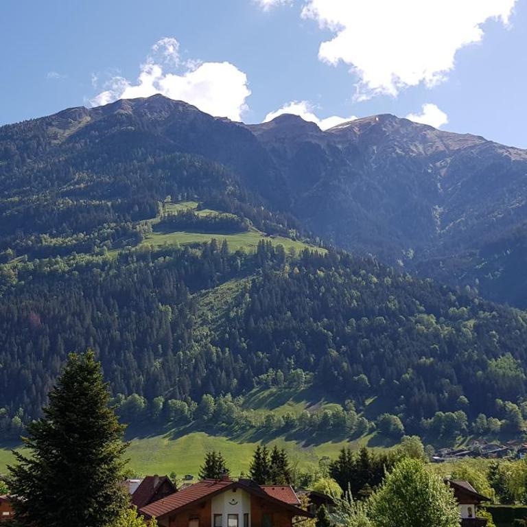 The Apartment - Alpentherme inklusive - Appartement 1 Chambre - 35