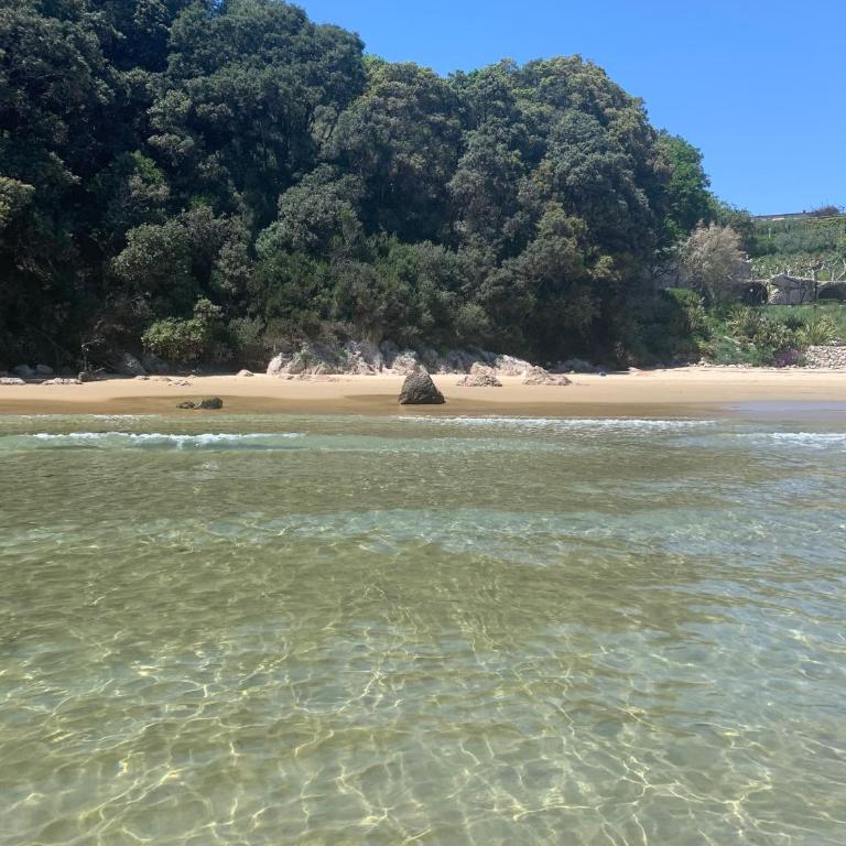 Villa Michela tra Cielo e Mare - Casa Vacanze - 57