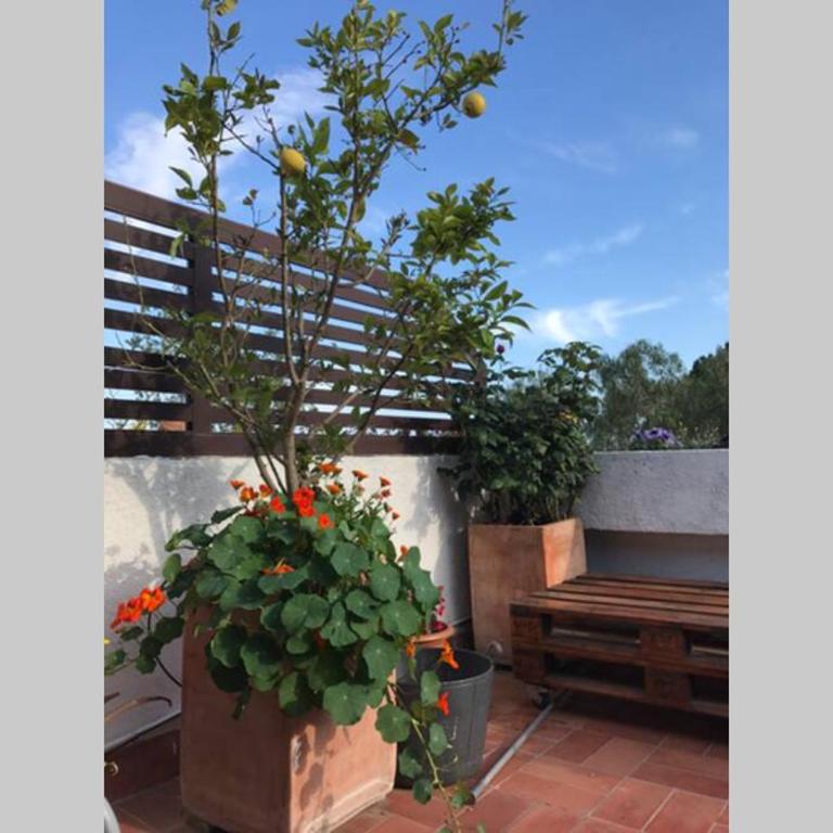 Casita blanca con fibra óptica y piscina cominutaria - Casa de 2 dormitorios - 16