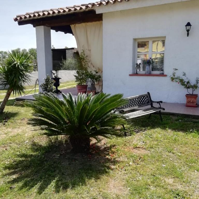Casa Molara - Appartamento con 1 Camera da Letto - 4