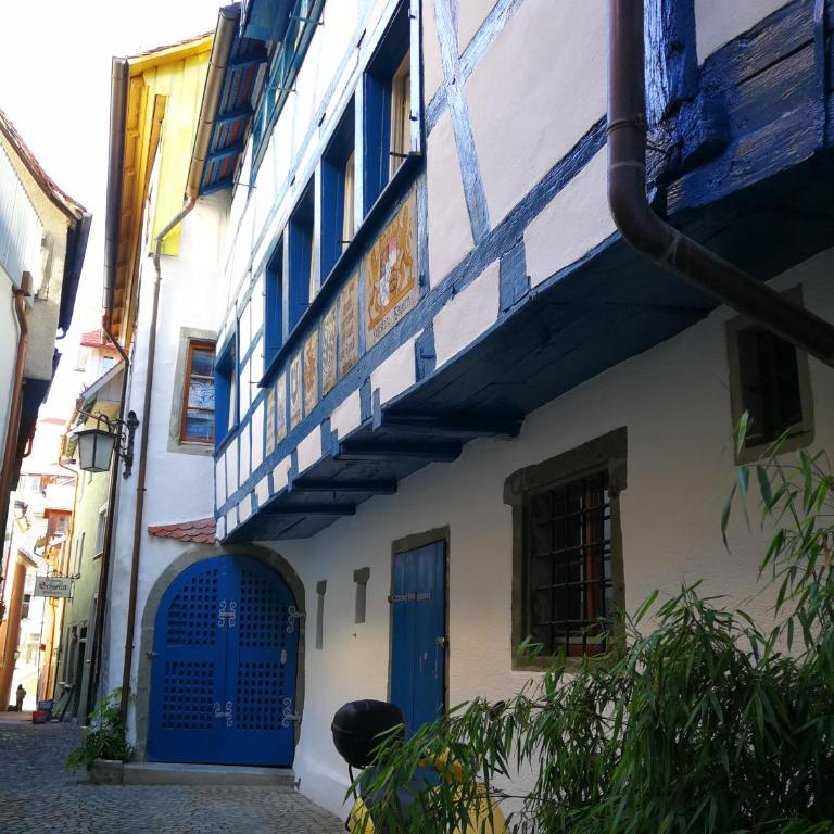 Bio-Ferienwohnung Ellensohn - Studio mit Terrasse - 1