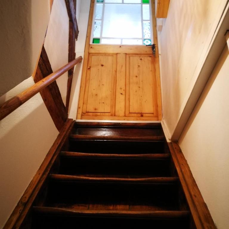 Bio-Ferienwohnung Ellensohn - Studio-Apartment - 8