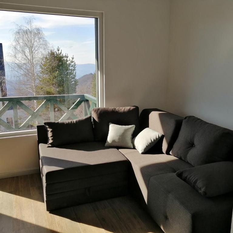 Silver Hill apartment - One-Bedroom Apartment - 14