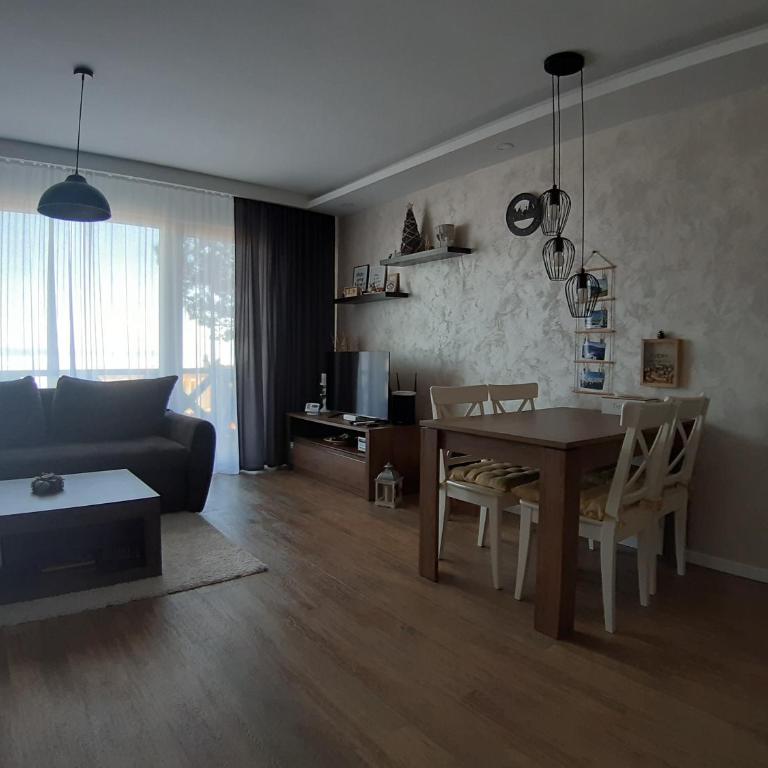 Apartman Dragana Kopaonik - One-Bedroom Apartment - 5