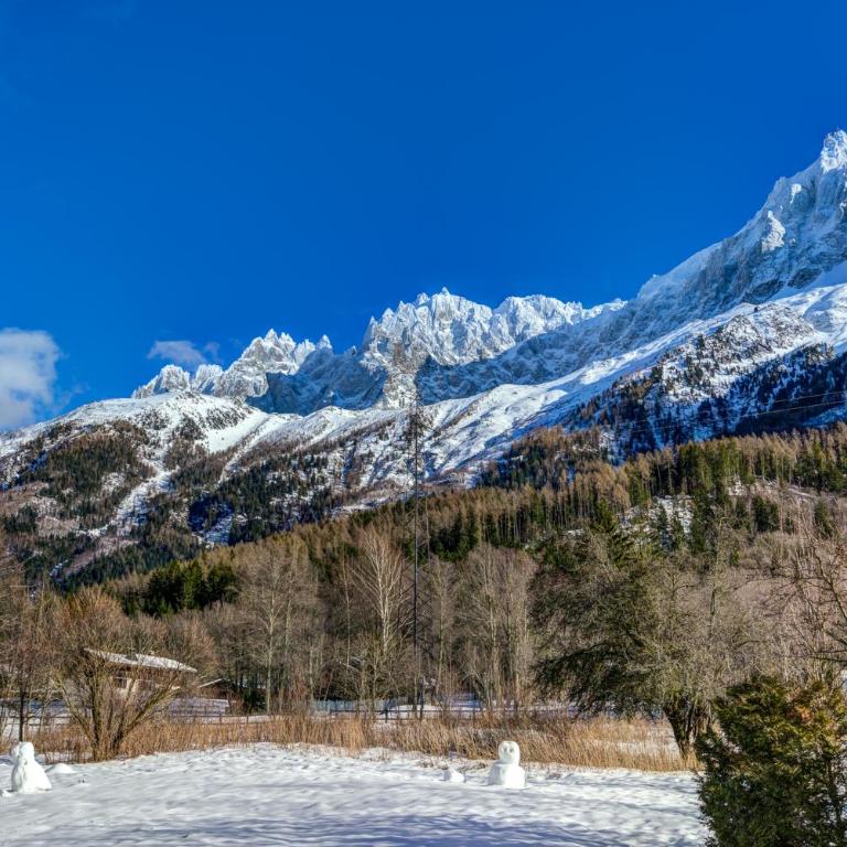 Chalet Tissières - Chalet Supérieur - 66