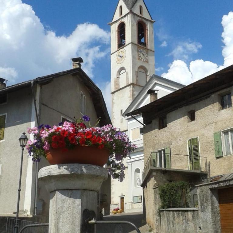 Da Rinota in Alta Val di Non - Apartamento - 20