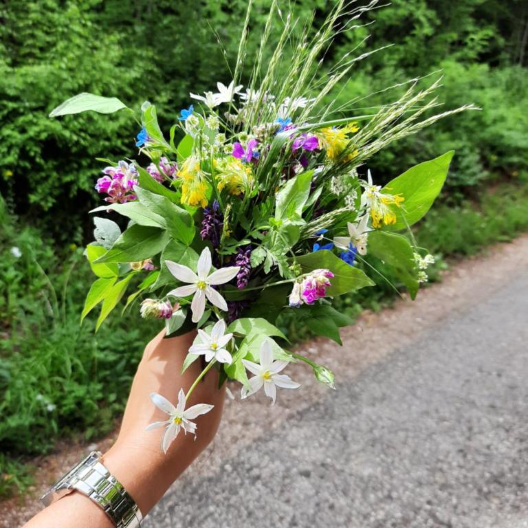 Studio Sanja - Studio Apartman - 31