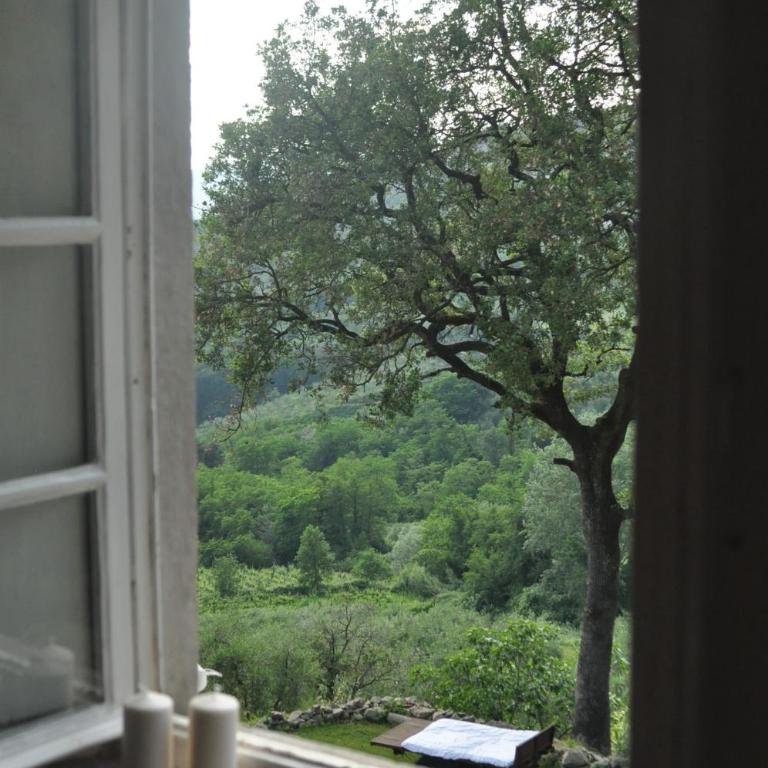 Agriturismo La Forestaria - Camera Matrimoniale con Bagno Privato - 4