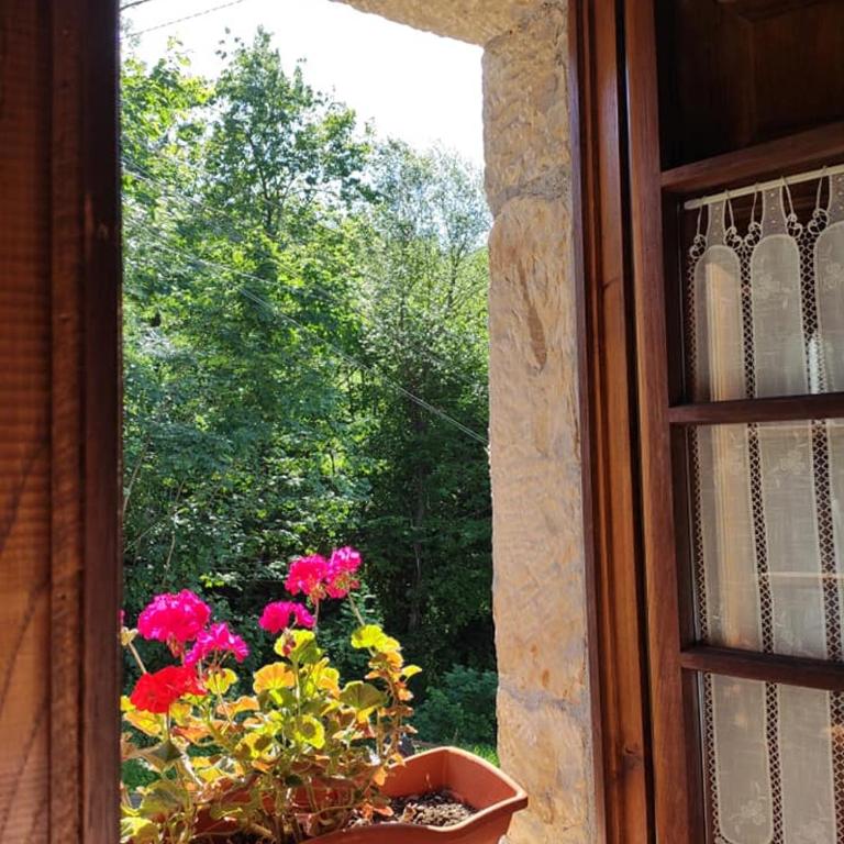 Apartamentos Rurales La Caviana - Appartement - Rez-de-Chaussée - 12