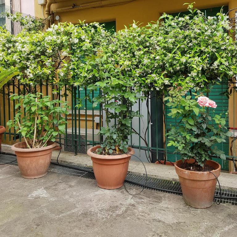 Jubilee 3 Luxury apartment in Rome Vatican - Appartement 2 Chambres - 58