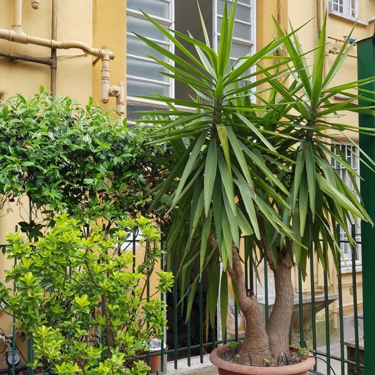 Jubilee 3 Luxury apartment in Rome Vatican - Appartement 2 Chambres - 2
