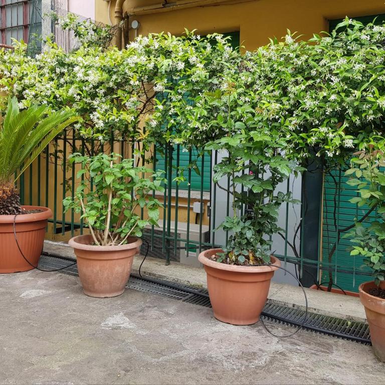 Jubilee 3 Luxury apartment in Rome Vatican - Appartement 2 Chambres - 14