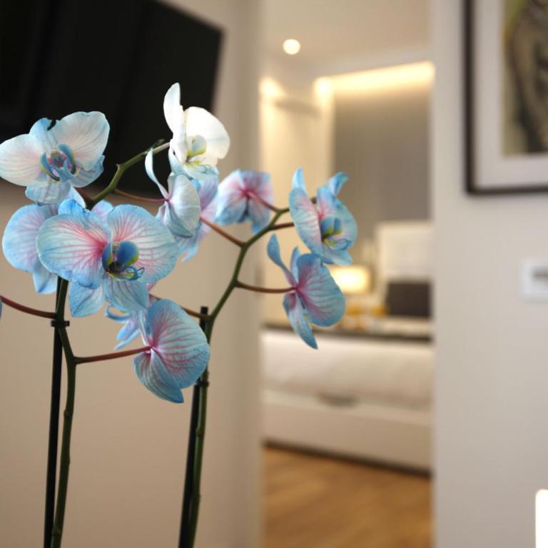 Angel Square - Apartment - 12