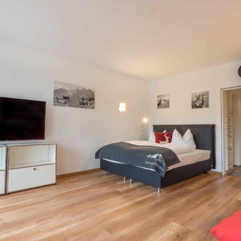 Oberstdorfer Bergwelt 108 - Studio-Apartment - 2
