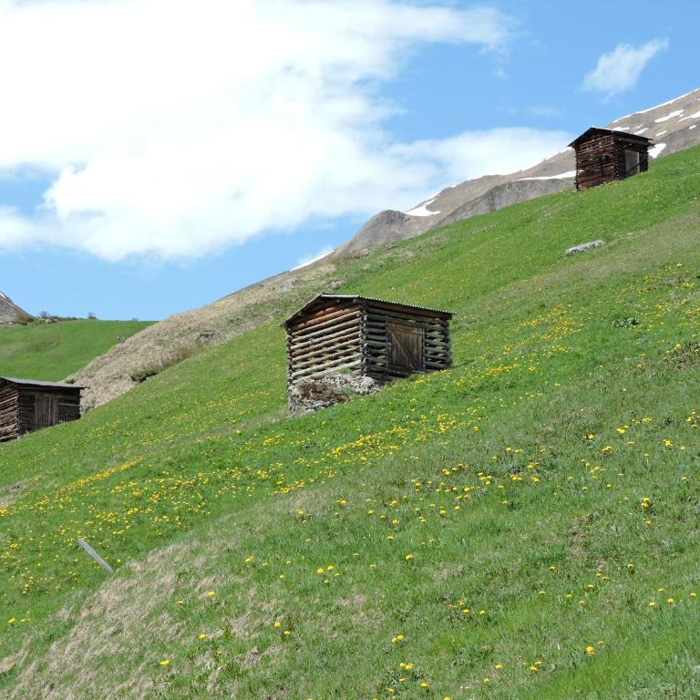 Haus Bergkristall - Studio - 14