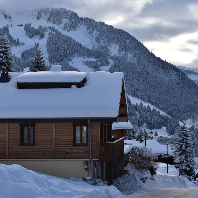 Chalet le Petit Ramoneur - Chalet - 1