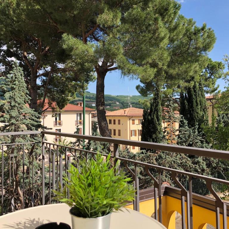 APPARTAMENTO ROSE E TULIPANI 4 - Appartamento con 1 Camera da Letto - 12
