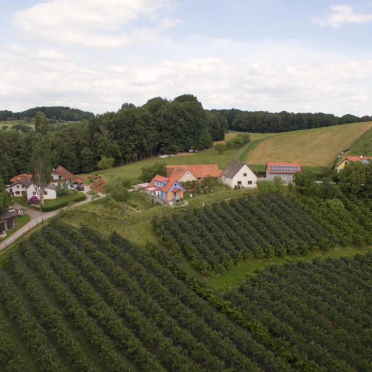 Ferienhaus Ulrichsbrunn - Ferienhaus - 21