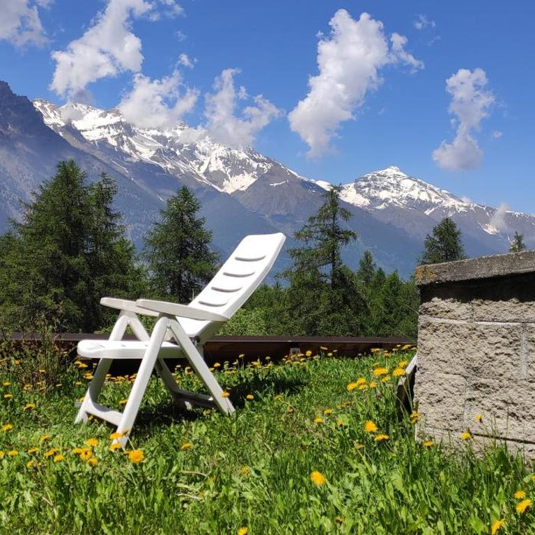 Il Nido - Delizioso alloggio presso il centro con vista spettacolare e giardino - Monolocale con Terrazza - 8