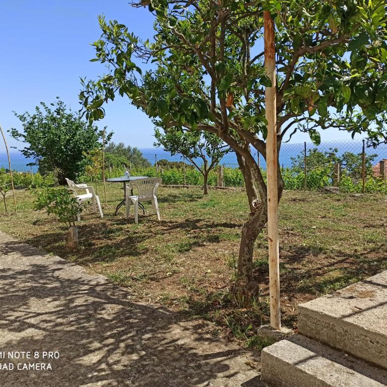 Poborska Villa - Villa with Sea View - 13