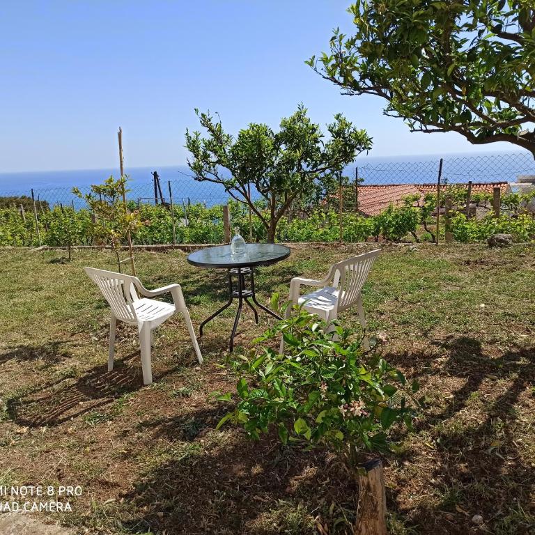 Poborska Villa - Villa with Sea View - 15