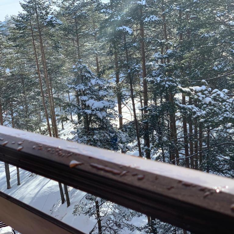 Vila Pekovic, Pine Trees View Apartment with big balcony in The Center of Zlatibor! - Apartman sa Pogledom na Planinu - 11
