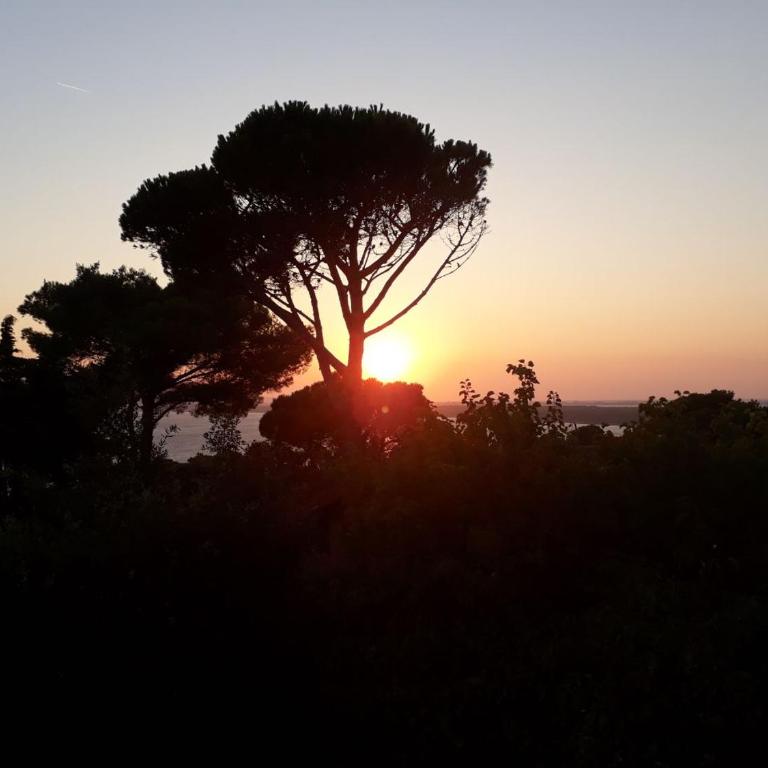 Luxury Penthouse in Naturiste; FKK, Nudist Village - Appartement - 20