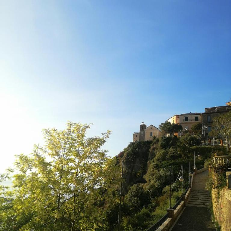 Historical Center with Garden "The Beach and The Cliff" 4 - Appartamento con Vista Giardino - 43