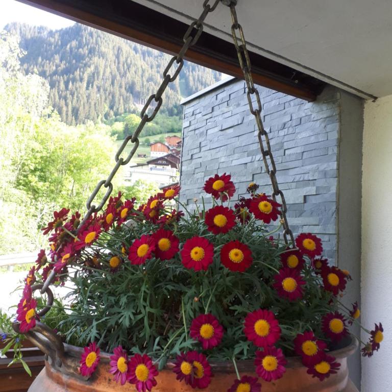 Haus Gabriele - Apartment mit Blick auf die Berge - 12