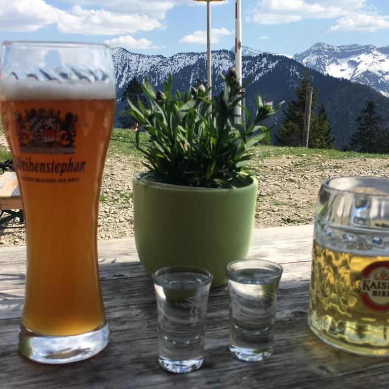 Villa Alpenblick - Apartment mit 3 Schlafzimmern - 51