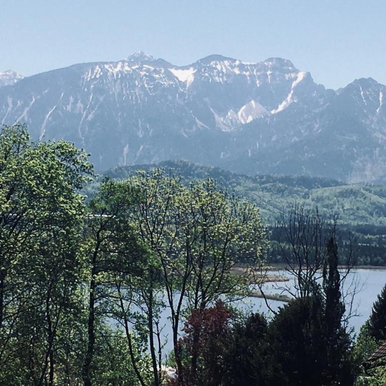 Villa Alpenblick - Apartment mit 3 Schlafzimmern - 8