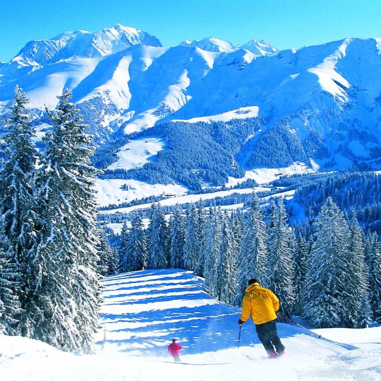 Chalet Roseau - Appartement 3 Chambres - 15