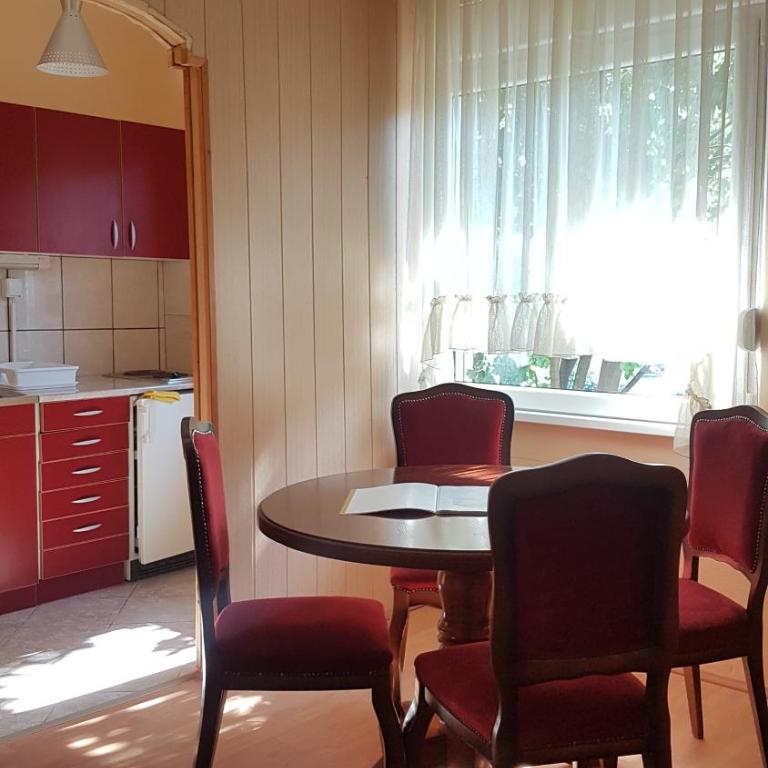 Apartmani Smiljanic Sokobanja - Apartment with Terrace - 2