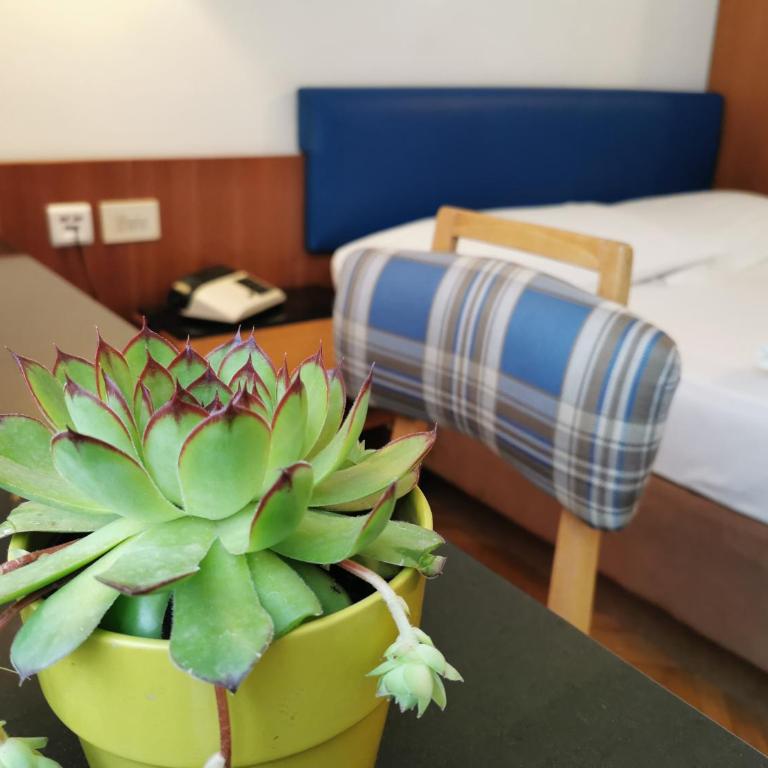 Hotel Adria - Camera Singola Superior - 7