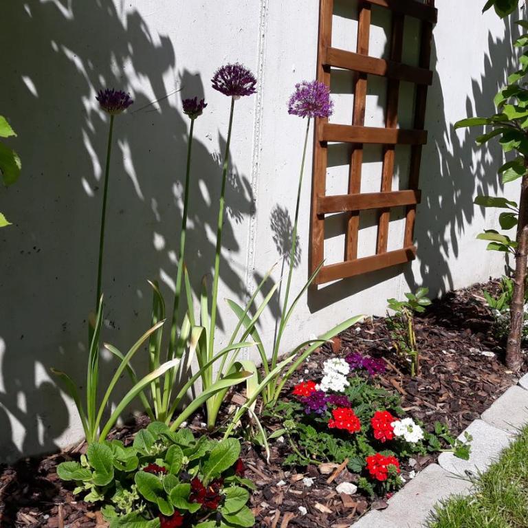 Haus Ruetzbach - Apartment - auf 2 Etagen - 11