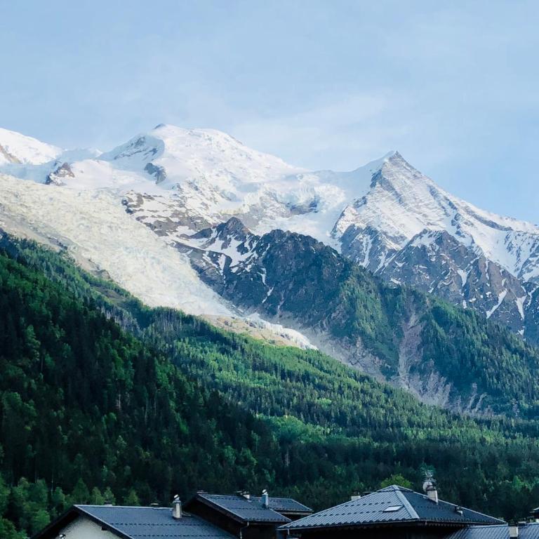 Mont Blanc 43, vue Mont Blanc , balcon, parking - Appartement 1 Chambre - 48