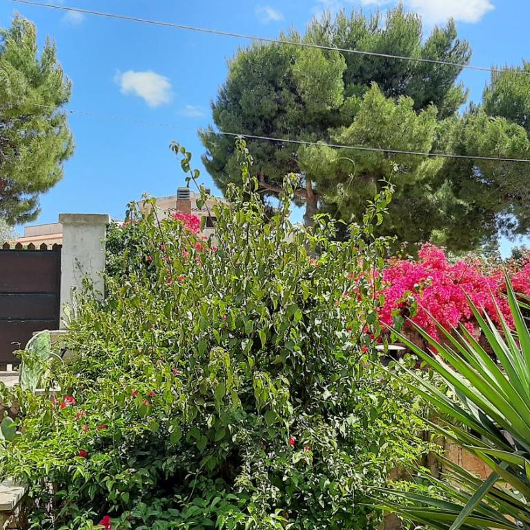 Villa Plemmyria - Casa con 5 Camere da Letto - 77