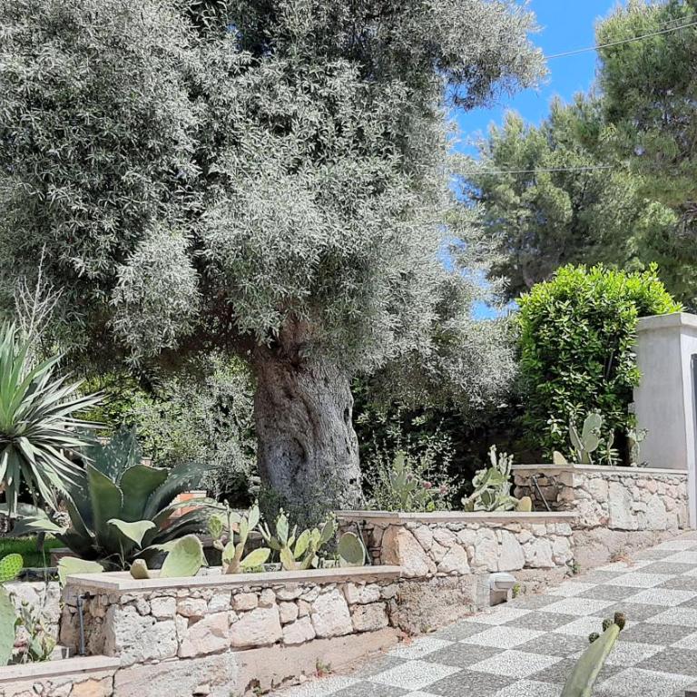 Villa Plemmyria - Casa con 5 Camere da Letto - 67