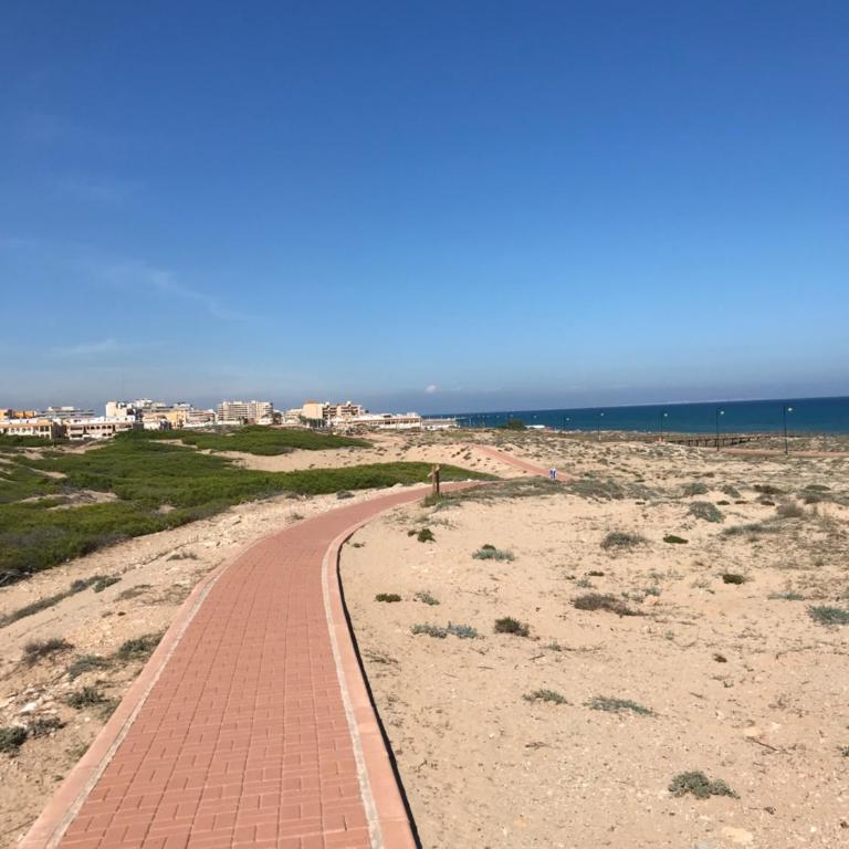 Sunny Time La Mata - One-Bedroom Apartment - 46