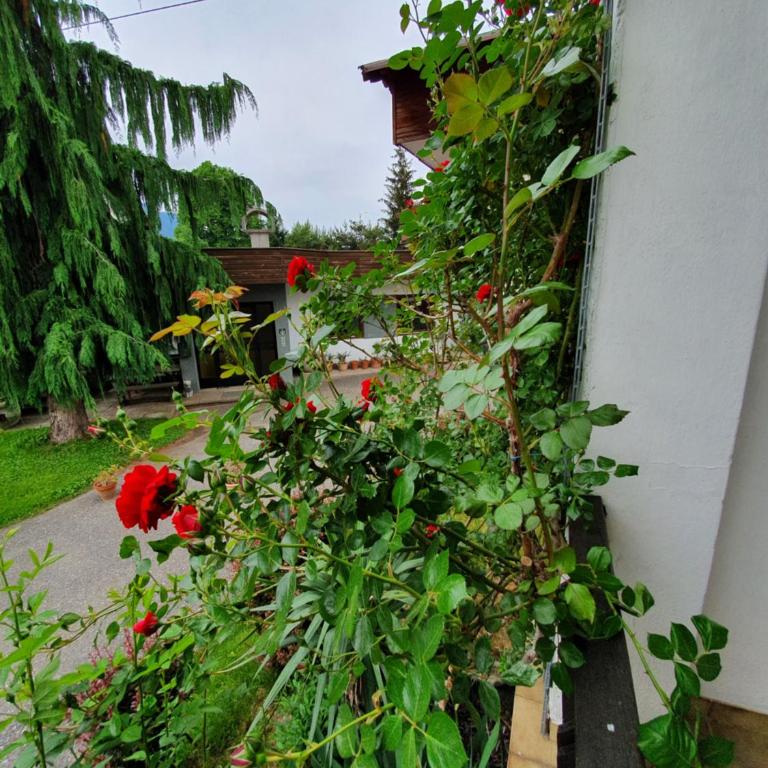 Appartements Amrusch - Apartment mit 2 Schlafzimmern - 6