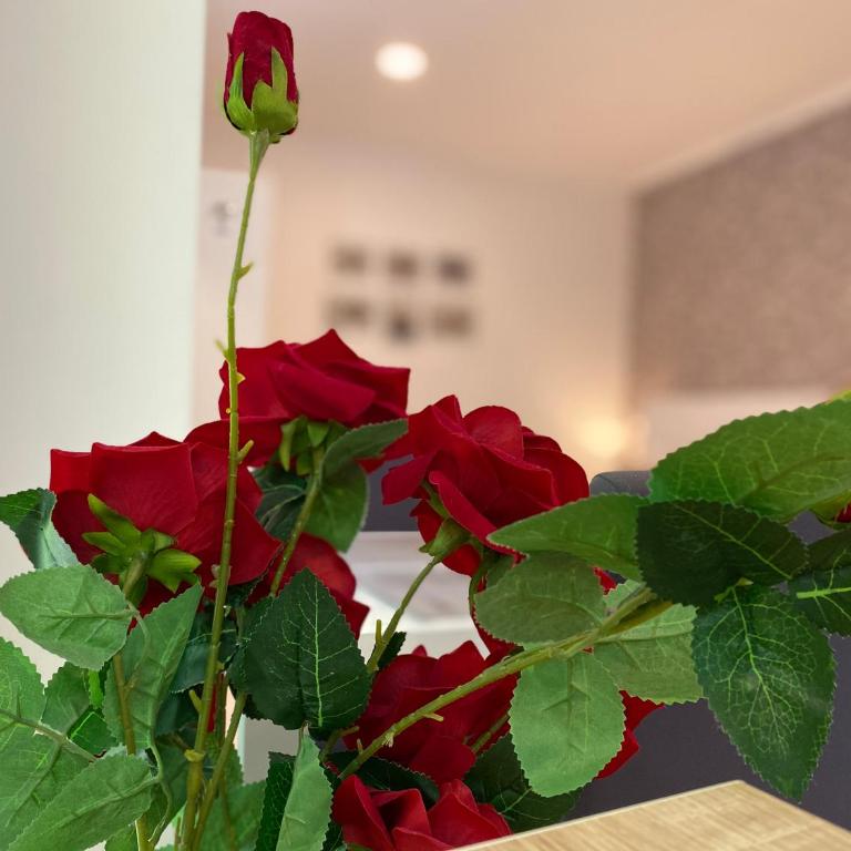 Apartments & Rooms Mostar Story - Studio with Balcony - 13