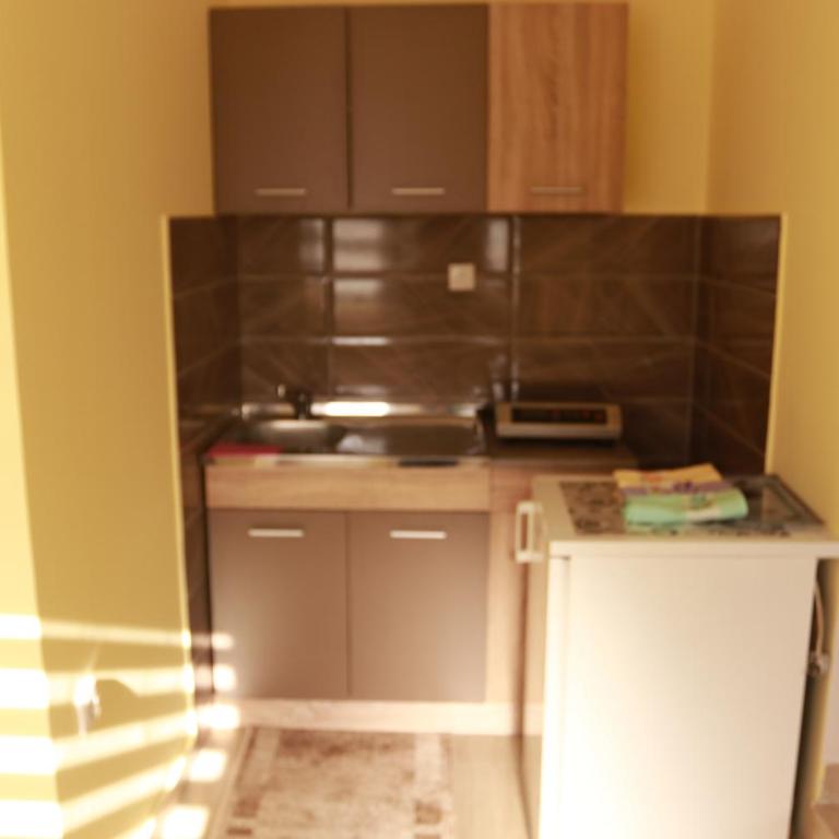 Konačište Kovačević - Apartman sa 1 Spavaćom Sobom - 10