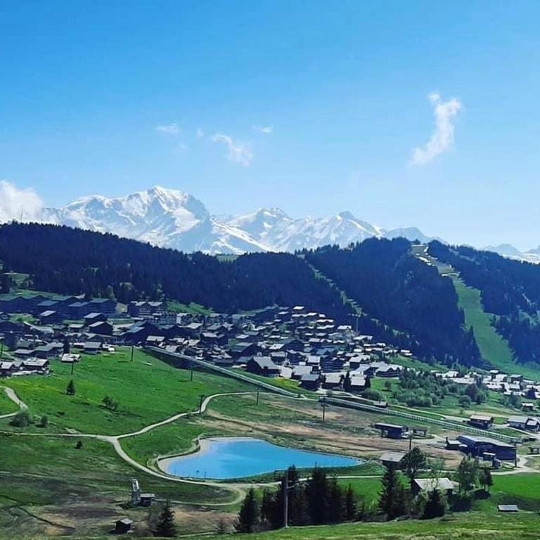 Grand appartement aux SAISIES - Appartamento con 2 Camere da Letto - 19