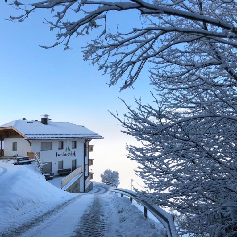 Forchnerhof Panorama- Rienzschlucht - Appartamento con 2 Camere da Letto - 19