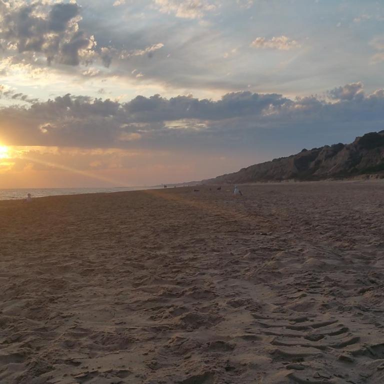 Duplex en Huelva a 15 minutos en coche de las mejores playas de España - Apartamento - 6